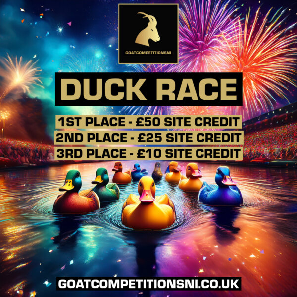 ANOTHER DUCK RACE!! 🦆